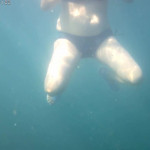 Моя жена показала сиськи под водой.