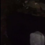 ������������� �����..