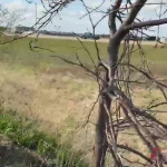 ���������� ������� ������